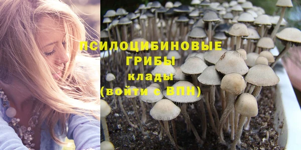 соль курить ск Верея