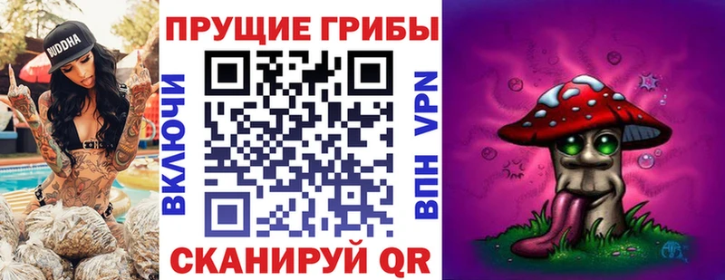 Псилоцибиновые грибы Magic Shrooms  купить  цена  Инза 