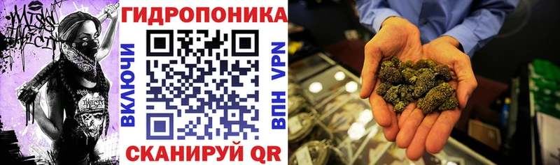 Шишки марихуана OG Kush  закладка  Инза 